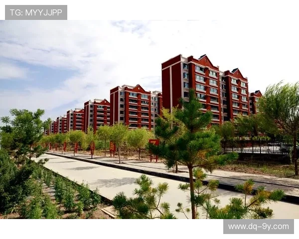 围绕竹料龙塘足球发展打造社区体育文化融合创新新引擎高质量平台