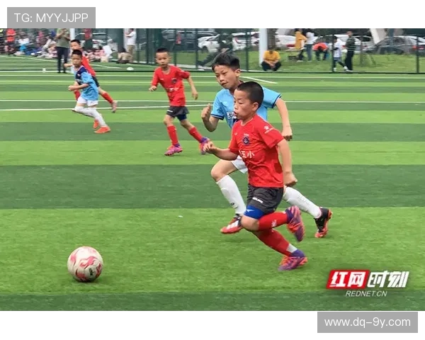 深圳足球外教费用水平与青少年培训市场真实价格全面解析实用指南